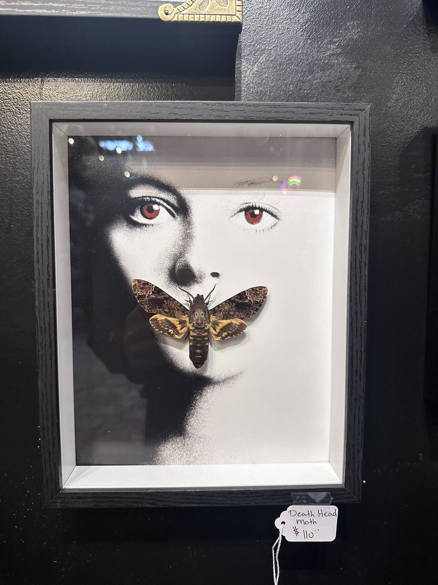 makesmenumb's tweet image. favorites from my camera roll pt18