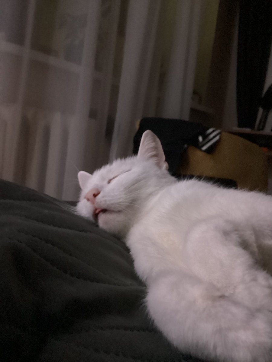 зырянская жизнь tweet media