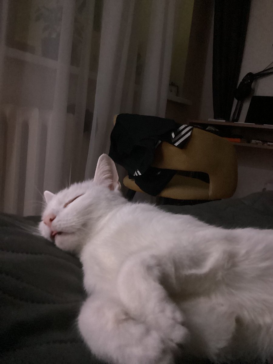 зырянская жизнь tweet media