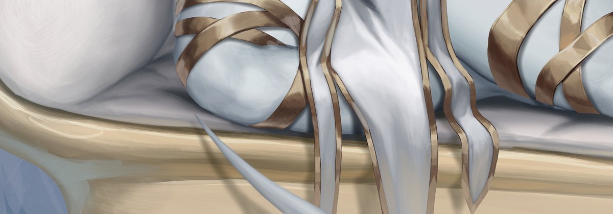 Veelpo_'s tweet image. Tap the post!