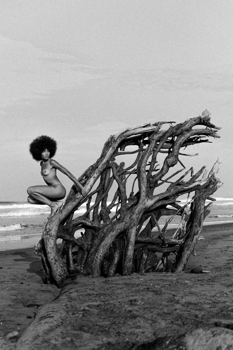 "Siren”, by <a href="/nastasyah_art/">Anastasia Kóvtun</a>.

Reserve set at .30 ETH.

(Link to all our gallery pieces in our bio)