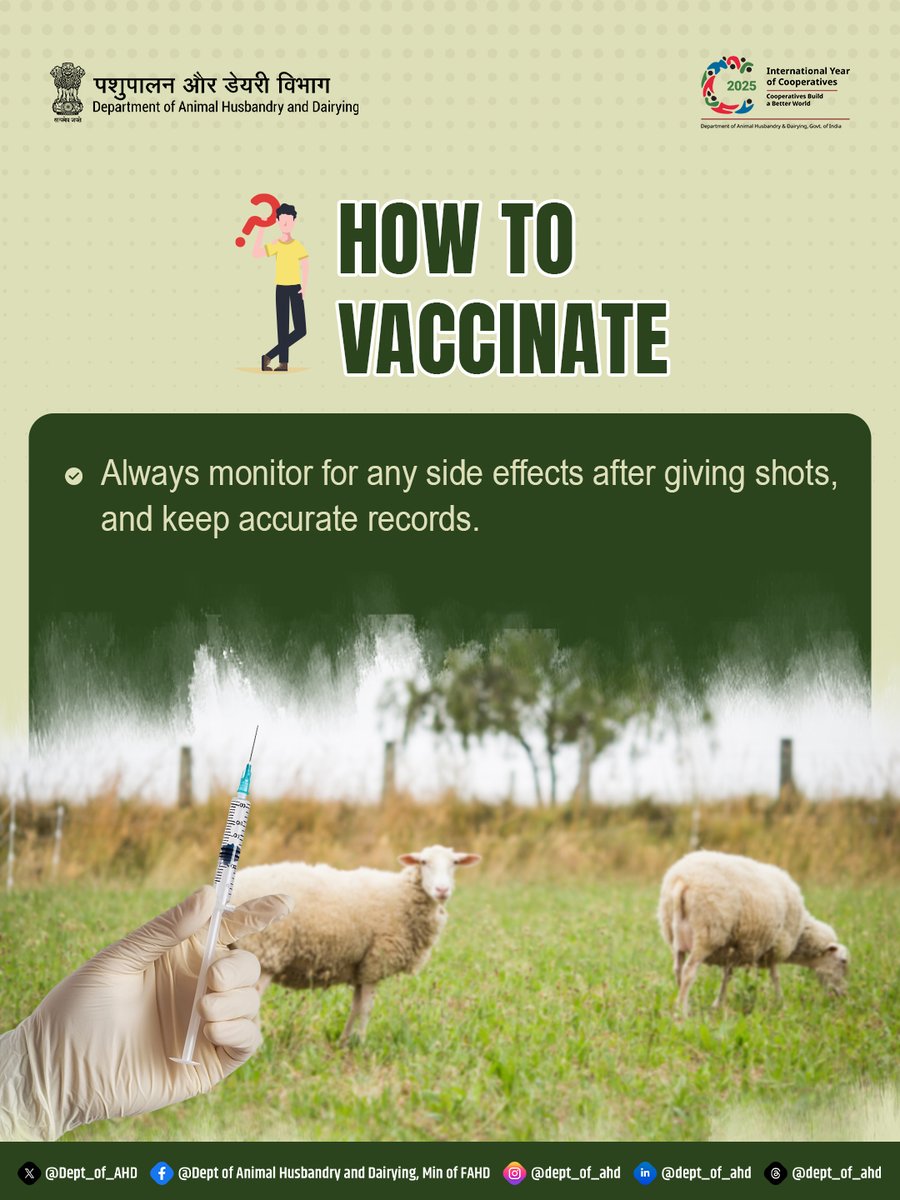 Dept_of_AHD's tweet photo. After vaccination, closely monitor animals for any side effects and maintain proper records to ensure effective disease prevention and overall herd health.
#GoatHealth #SheepCare #VaccinationAwareness #LivestockManagement https://t.co/dDA6jdGmVM
