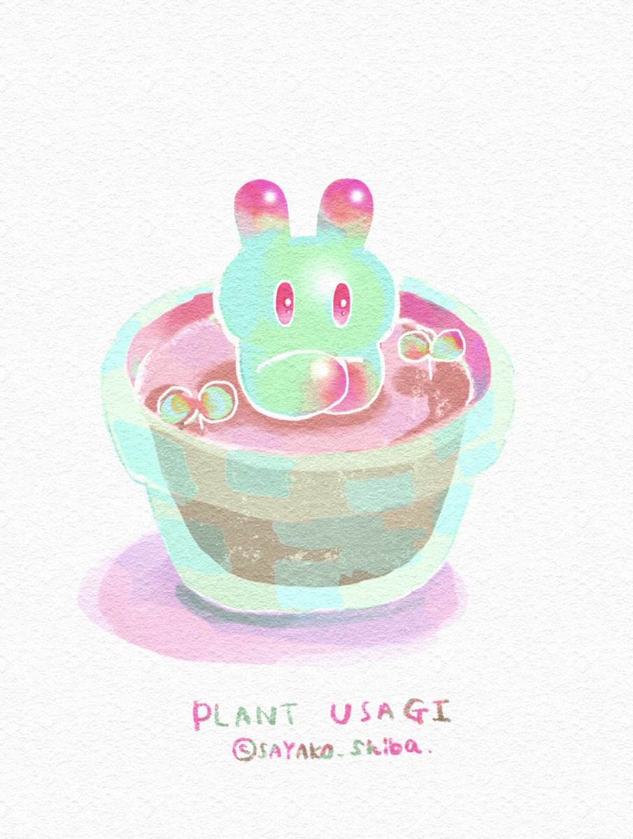 SAYAKO shiba tweet media