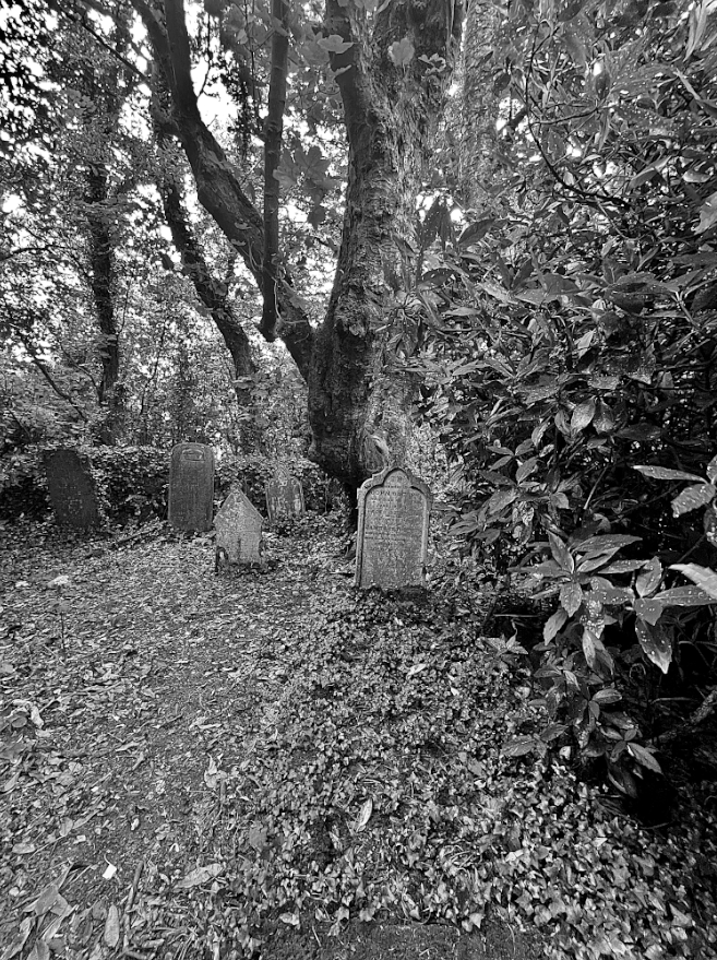 It's no secret many authors are boneyard loiterers. It's where we go to steal names from tombs to clothe our characters.  What's less known, is how many of us authors hear certain stones sing their names, whisper their stories. We tend to keep quiet on that. – #CLNolan #Writing