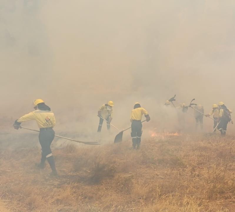 WOF-Kishugu JV tweet media