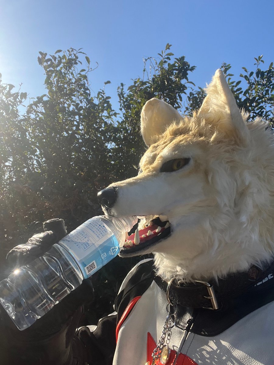 wolfmuzzle11's tweet image. 太平洋側めっちゃ乾燥してるんで
火の用心＆水補給やで