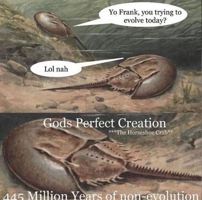 PostsOfGod's tweet image. 