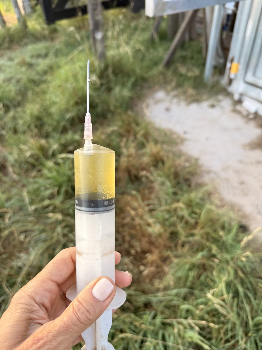 Labitori's tweet image. A ver los dres Rímolo