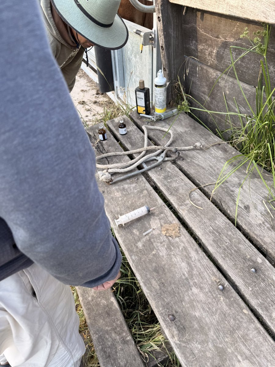 Labitori's tweet image. A ver los dres Rímolo