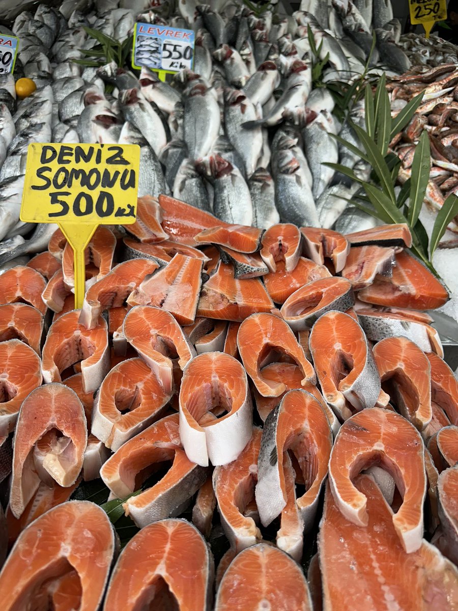 Samsun–Karadeniz’de yetiştirilen kültür somonları, bölge için önemli bir değer.
Somonun doğal rengini veren astaksantin normalde denizin besin zincirinden gelir; kültür somonlarında ise bu renk çoğunlukla yemle desteklenerek sağlanır.
Önemli olan: şeffaf üretim ve doğru