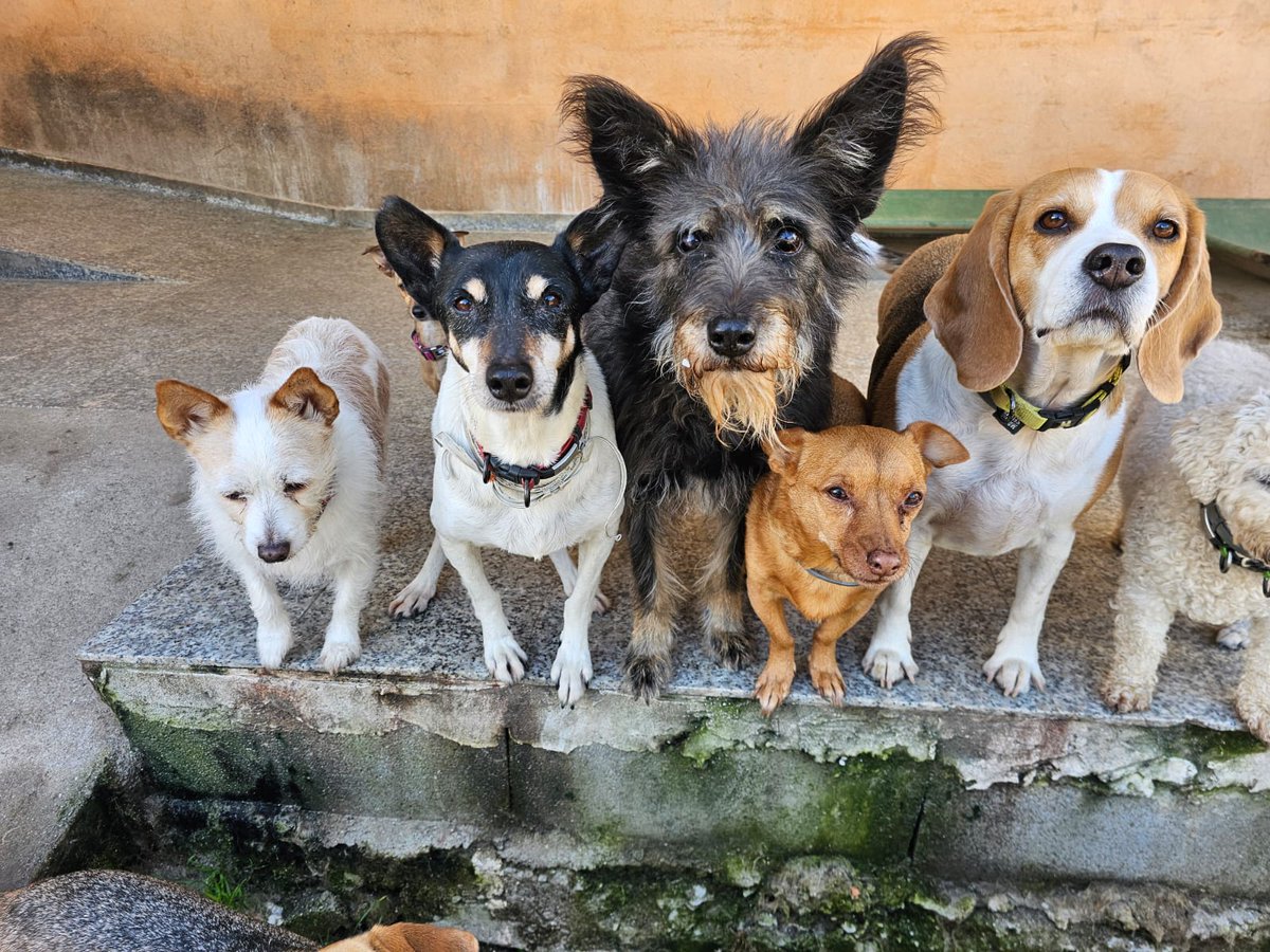 ᑭᏞᗩᑎᗴᎢᗩ Ꮓᗩᖇᑭᗩ tweet media