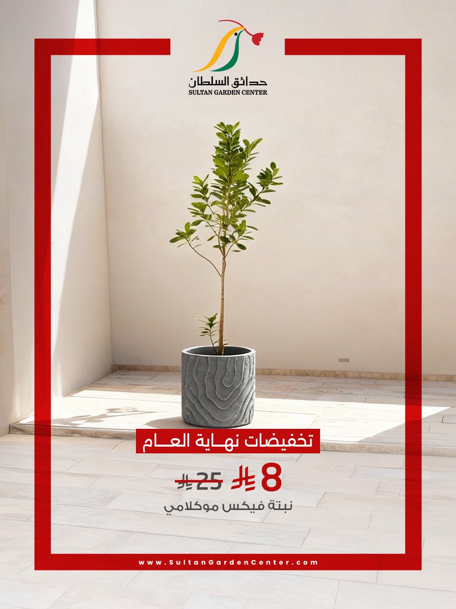 نبتة فيكس موكلامي بأفضل الأسعار 🌿

#حدائق_السلطان #نباتات #أشجار 
#تخفيضات_نهاية_العام #تخفيضات