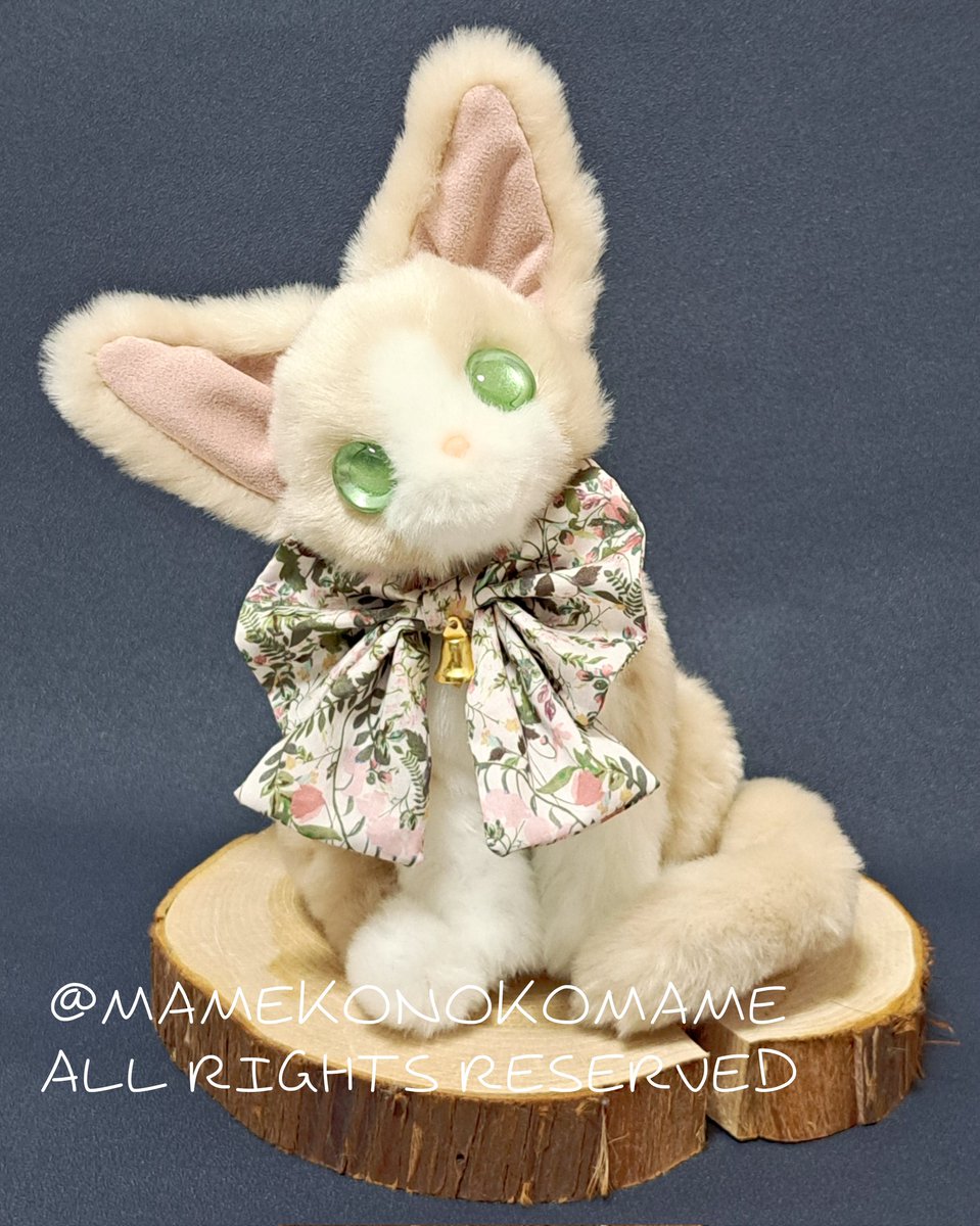 まめこ (@Mamekonokomame) / Posts / X