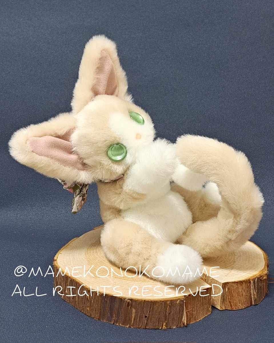 まめこの仔　カーバンクルのぬいぐるみ まめこ (@Mamekonokomame) / Posts / X