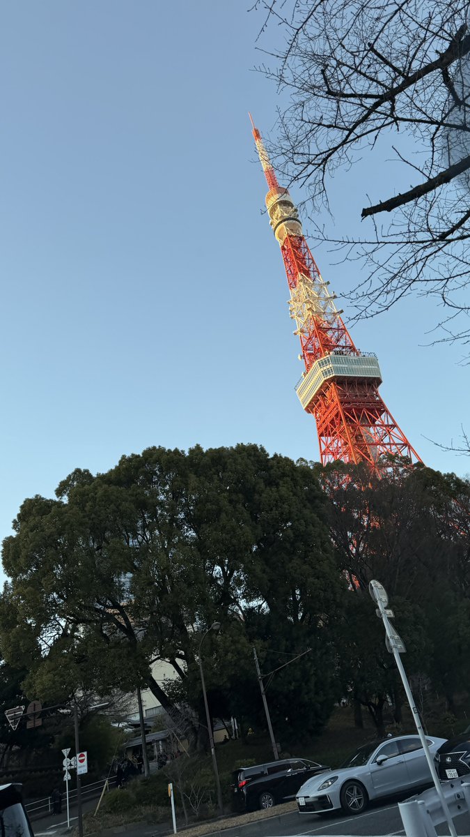 🌸 はなちゃん 🌸 (@HANAchan738) / Posts / X