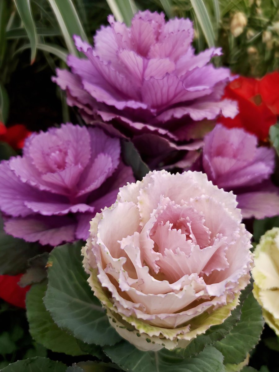 mayu*** (@mayu_r729) / Posts / X