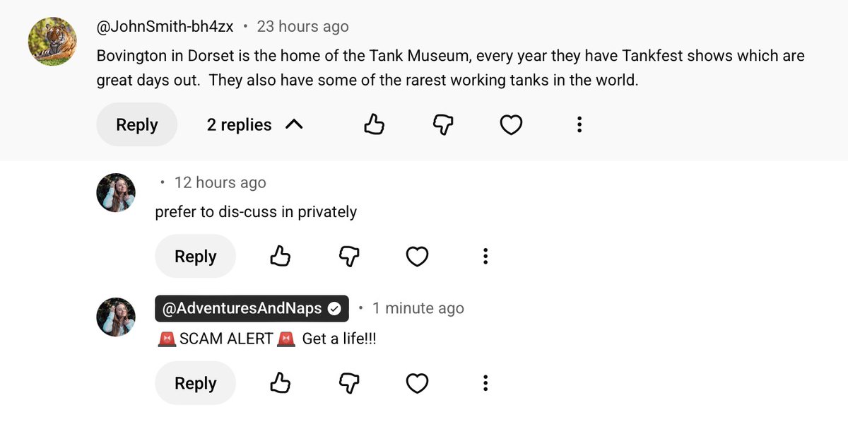 Adventures and Naps tweet media