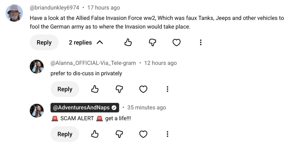 Adventures and Naps tweet media