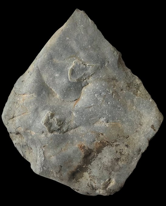 StoneAgeWirral's tweet image. 🪨Giant mystery: a Palaeolithic giant handaxe from  Wirral. Read more 👀📖👉🏻prehistoricwirral.com/giant-handaxe.…
#Archaeology #Palaeolithic #Prehistory #Lithics #Gianthandaxe #Wirral
