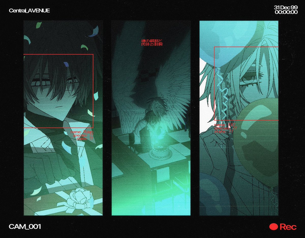 🌮🦓 tweet media