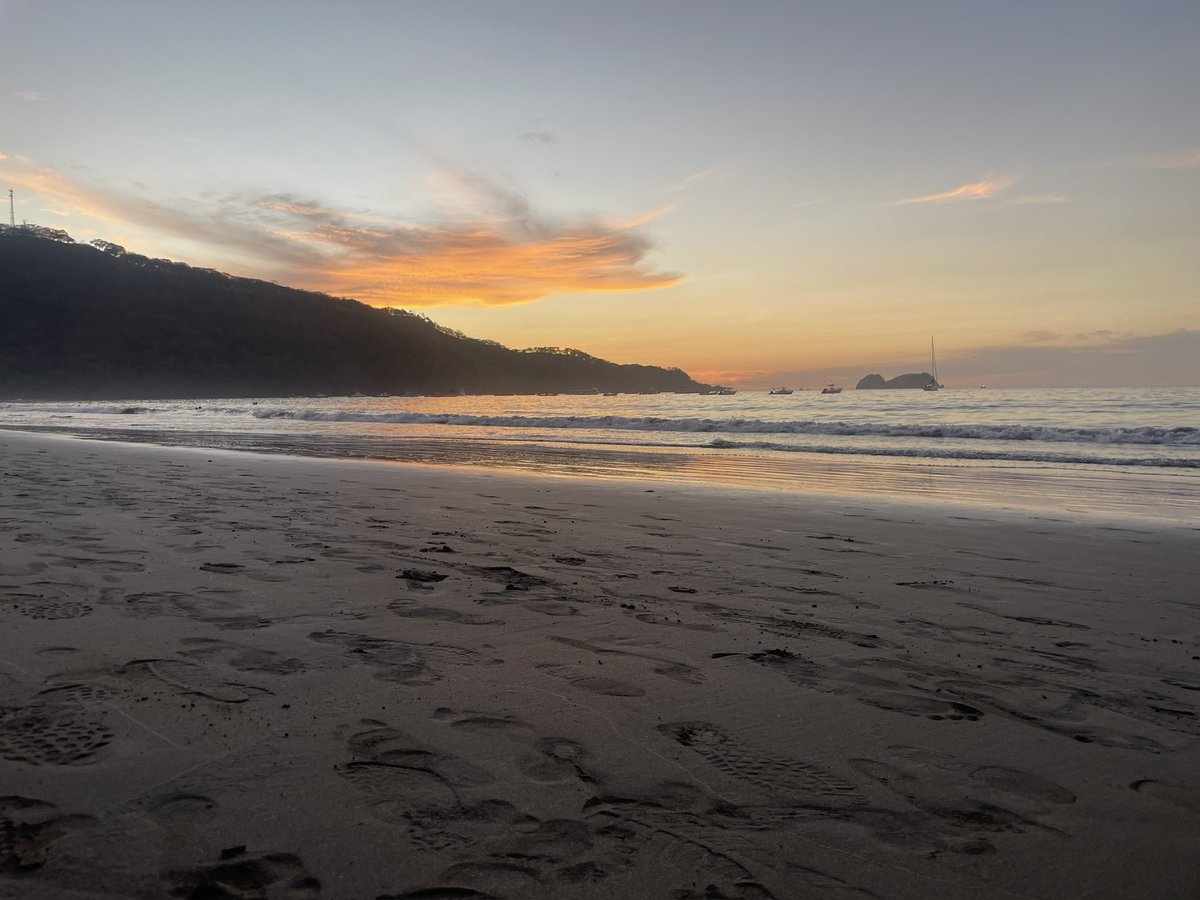 Coach Gore tweet media