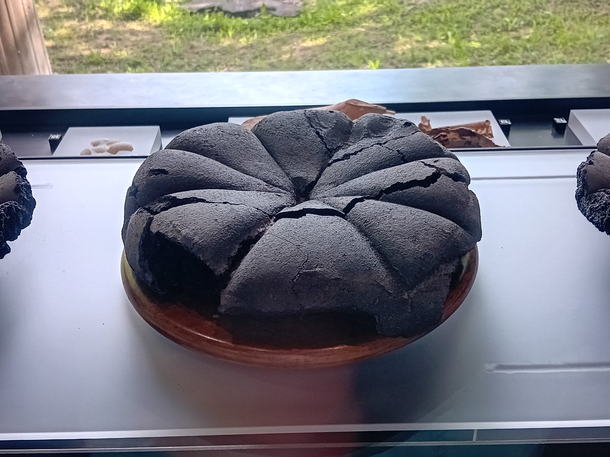 DrJEBall's tweet image. A loaf of #Roman bread, which was being baked in an oven in #Pompeii when Vesuvius erupted in AD 79; it was carbonised by the disaster &amp;amp; left in the oven until being excavated nearly 1800 years later.
