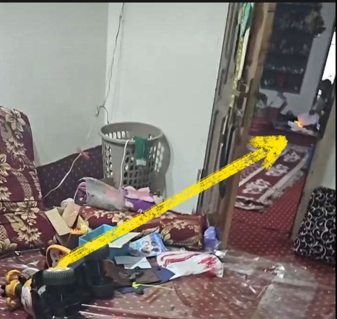 أبو العز tweet media