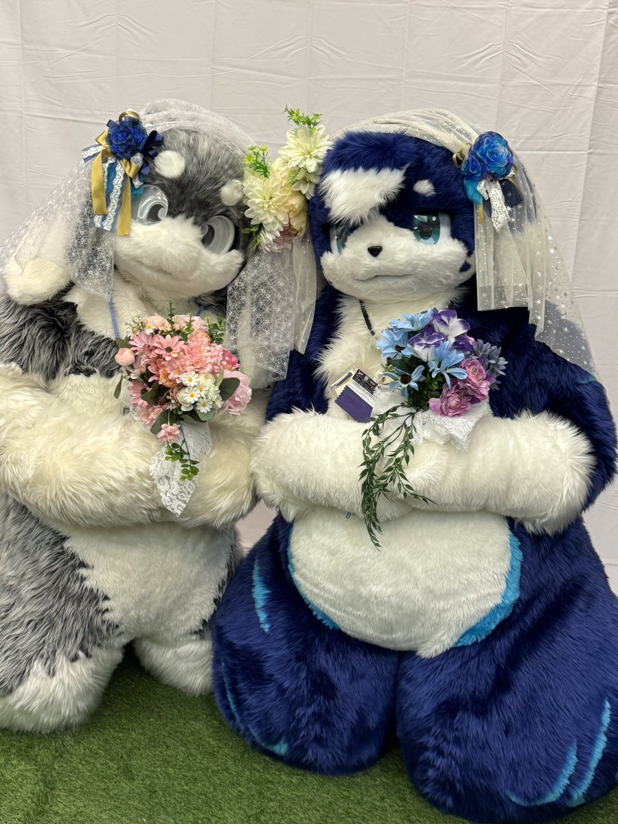 結婚おめでとう💍 #JMoF2026