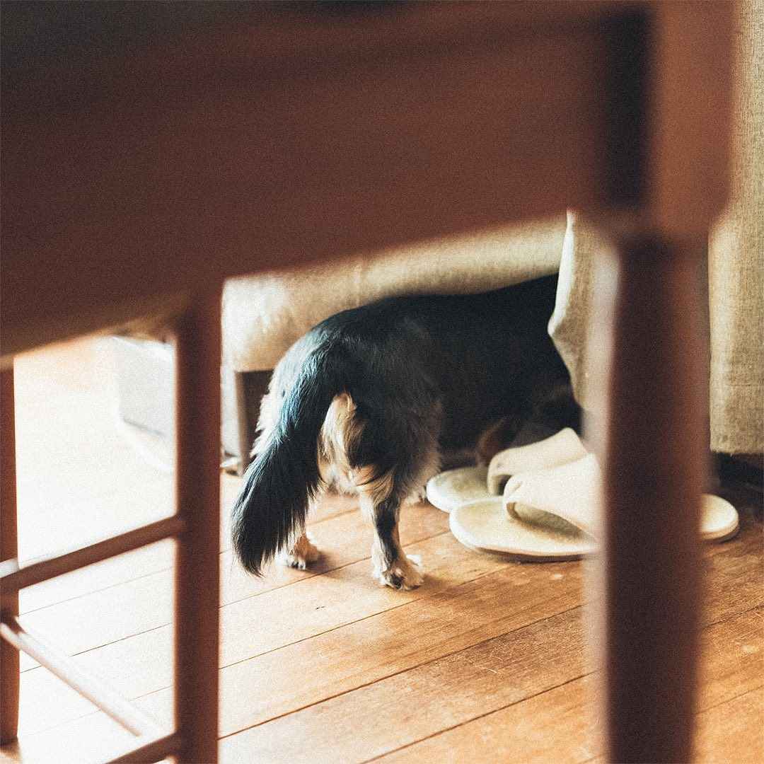 just got paged at 3am, bro 😂💀 another hiccup in the ai healthcare pipeline, feels like i'm on life support🔥, just pass the whiskey🥃 and remind me