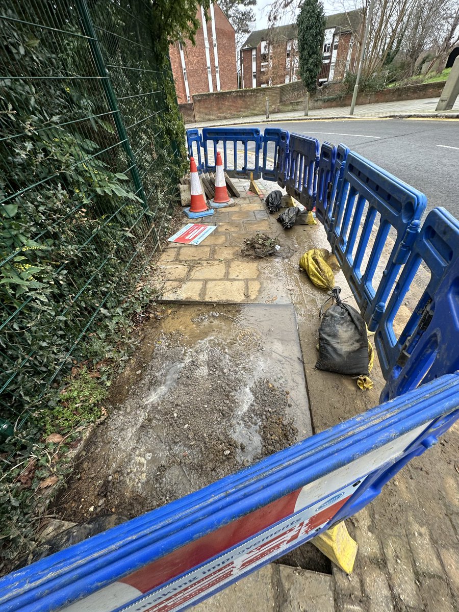 Alton Regen Watch tweet media