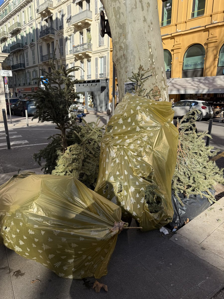 Pierre-Paul Léonelli tweet media