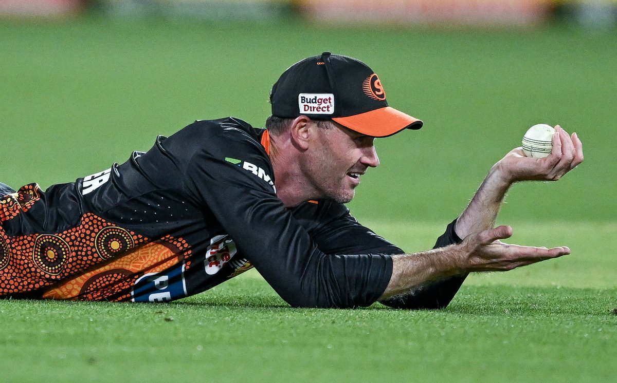 Perth Scorchers tweet media