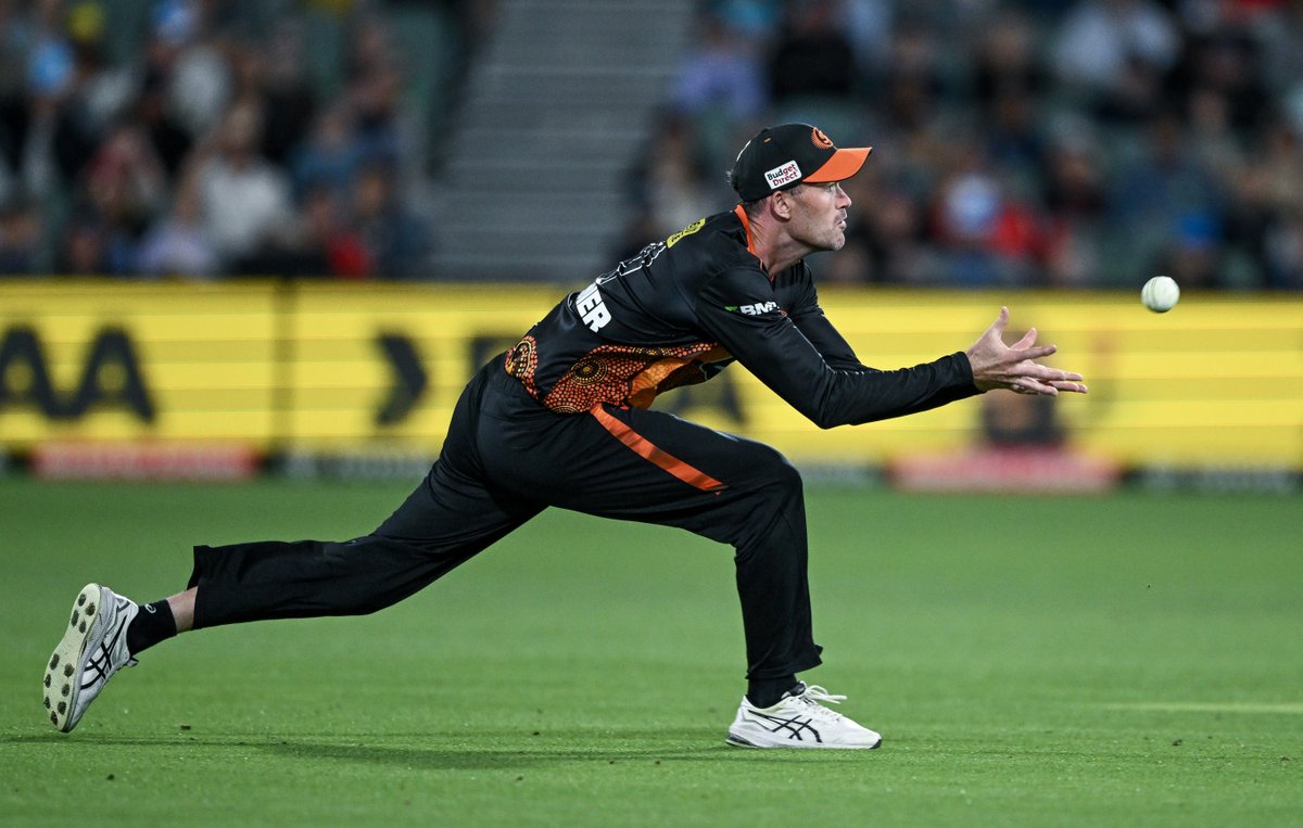 Perth Scorchers tweet media
