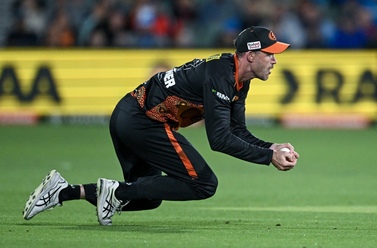 Perth Scorchers tweet media