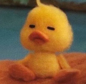 notesofsh's tweet image. 