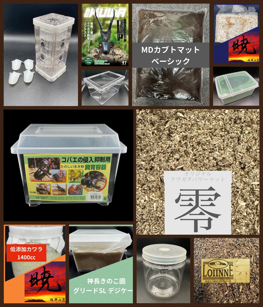 入荷のご案内】 3連休、続々と入荷中！！ 新年の虫活もお任せください