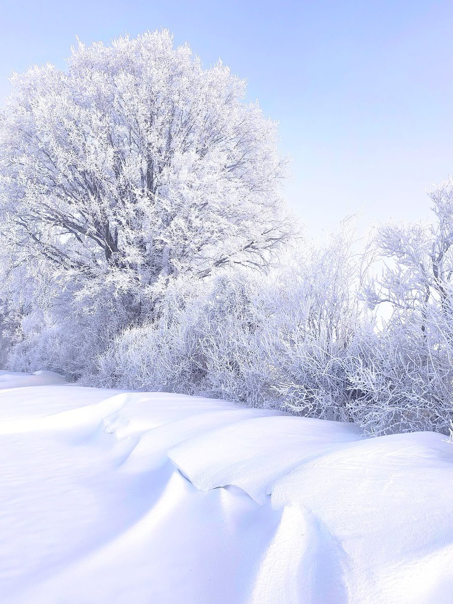 Winterspaziergang bei Wolfsburg nach der bislang kältesten Nacht des Winters in Norddeutschland, in der Lüneburger Heide wurden Tiefstwerte nahe -20 Grad registriert