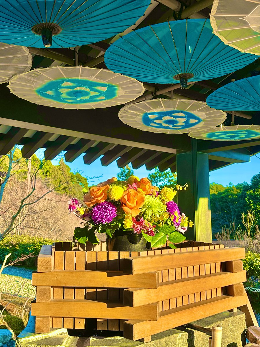 シェリー (@PSdceZuWHh6SPjj) / Posts / X