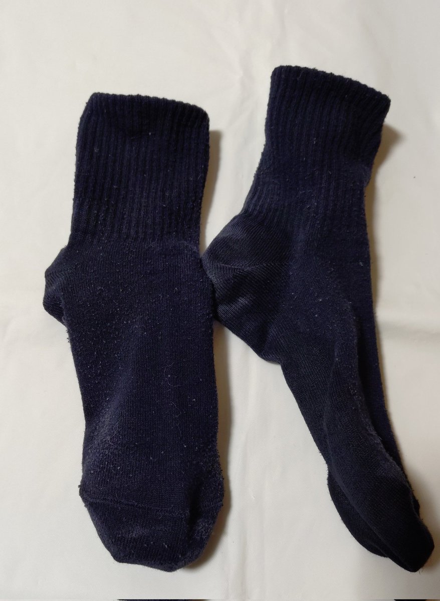 すっぱいにおいの紺靴下ですっ✨