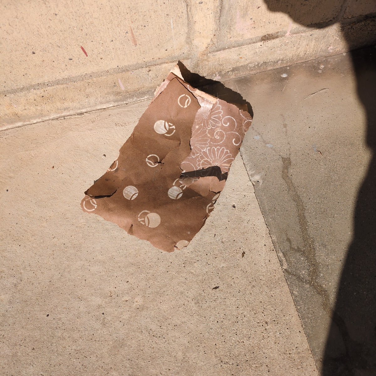 てっつ tweet media