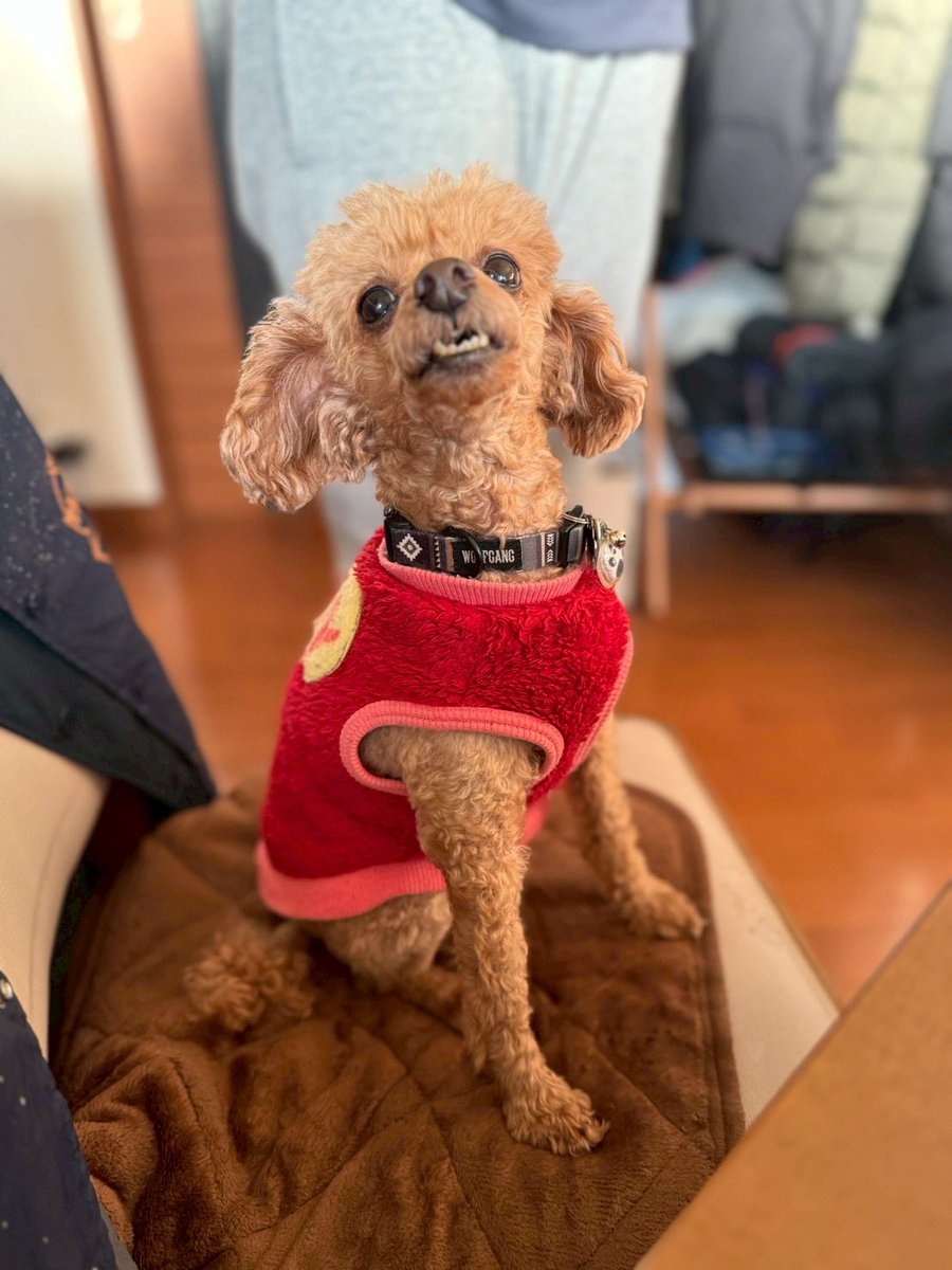 アロッペ 細胞診の結果 悪性じゃなかった
ﾜｰｲ\(* ॑꒳ ॑* \三/ * ॑꒳ ॑*)/ﾜｰｲ

大丈夫だった
今後は 定期的に 検査になりました
まだまだ 元気で長生きするゾ(*´∀｀)ノ