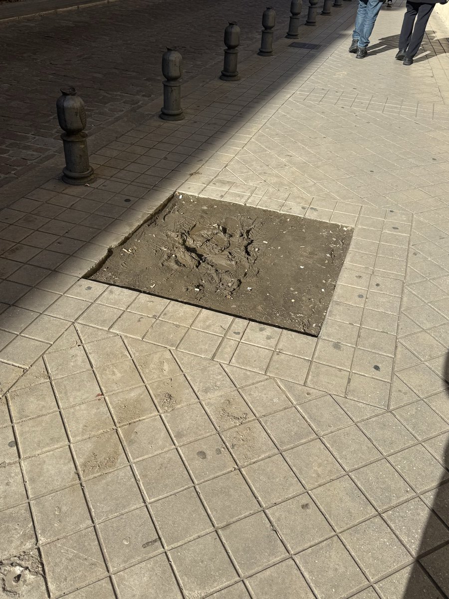 ⚠️ QUISIERA ENCONTRAR A LA CHICA (UN SER DE LUZ) QUE AYER AYUDÓ Y ACOMPAÑÓ A UNA SEÑORA, MI MADRE , QUE SE CAYÓ EN LA CALLE SAN JERÓNIMO SOBRE LAS 19:30 Y LA ACOMPAÑÓ HASTA EL HOSPITAL EN LA AMBULANCIA. 
MUCHÍSIMAS GRACIAS POR TODO, MI HERMANO NO PUDO AGRADECÉRTELO 🔔