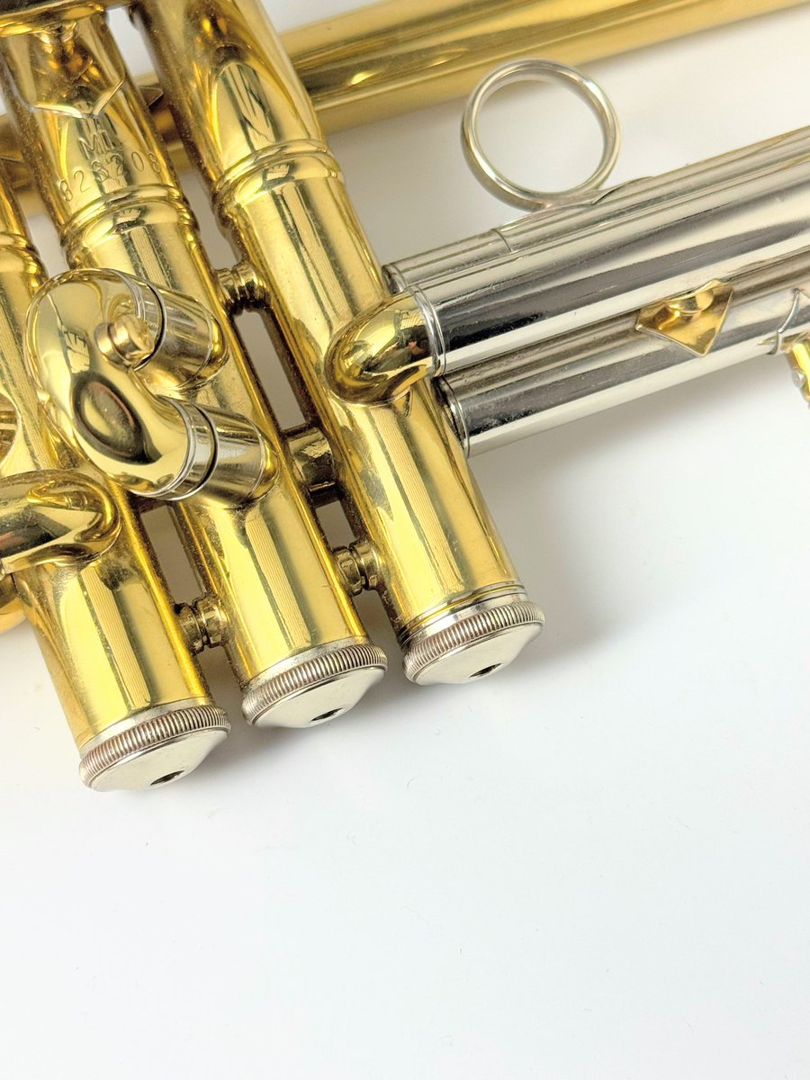 M*u様 BRAKUL BRAKUL Insert | TUBAMANPlus