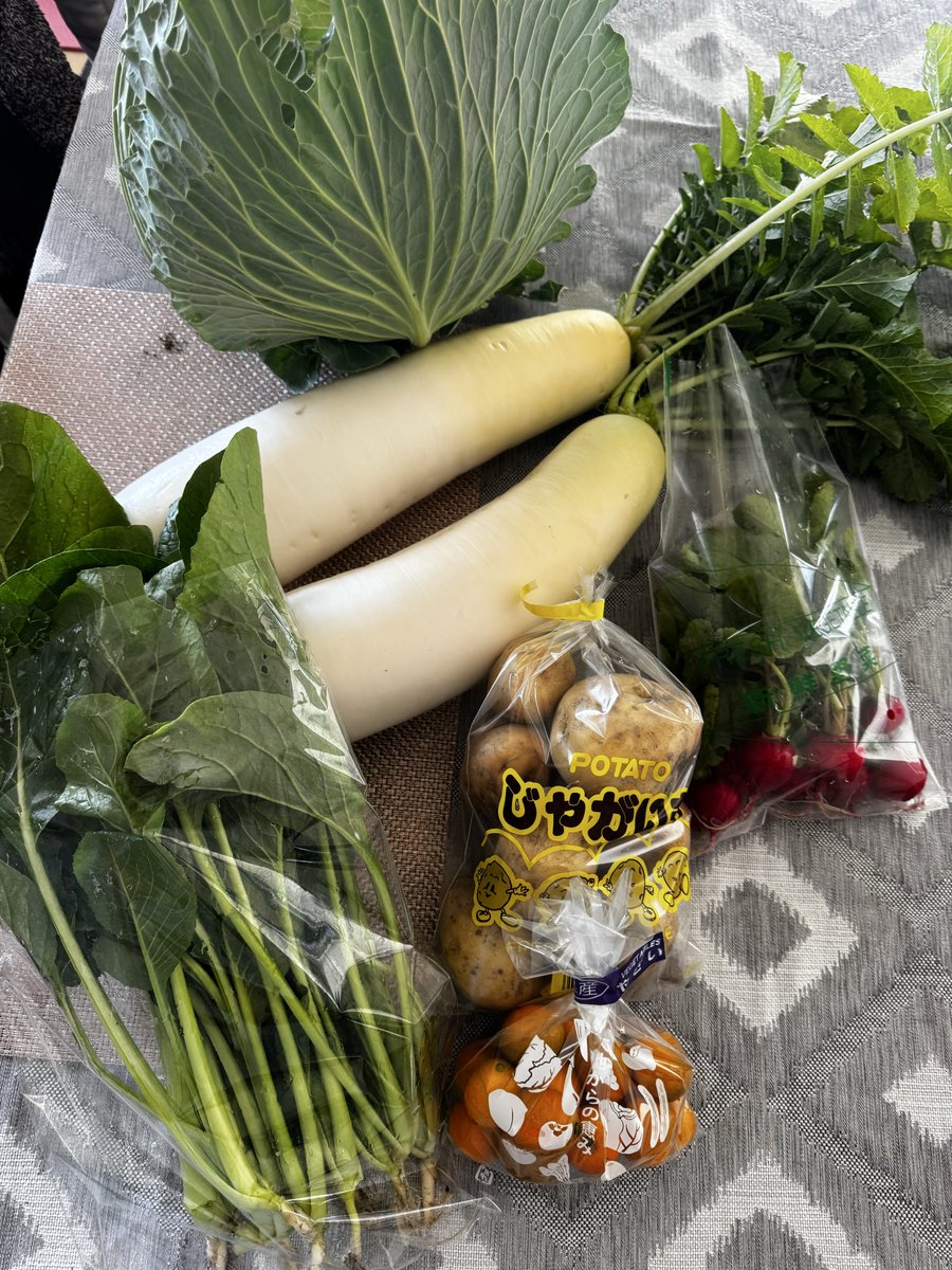 meltomi26's tweet photo. 朝から畑へ
寒くても冬野菜たちは逞しく成長しています。
収穫した野菜は、北海道の娘夫婦の元へ。
新鮮なうちに届きますように🥬 https://t.co/tH4ou6D1oi