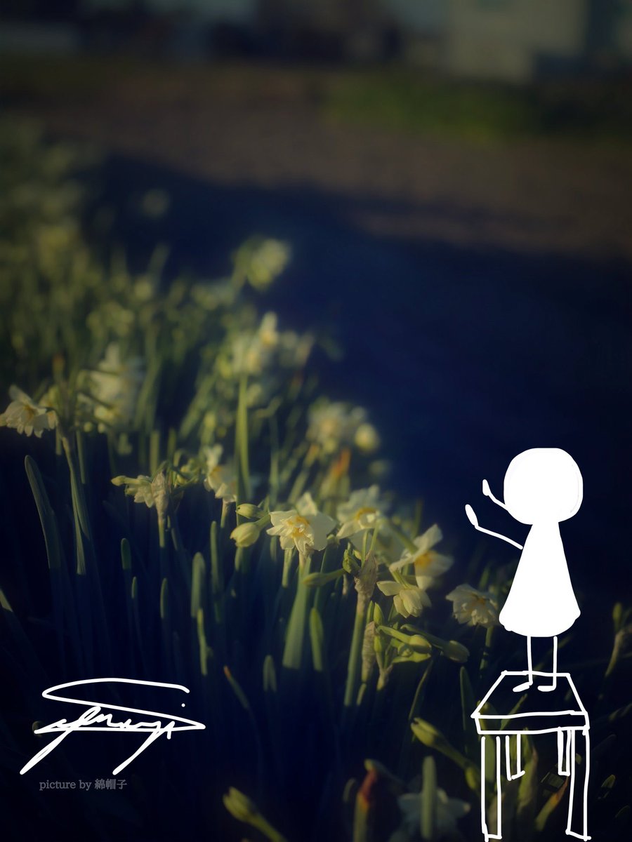 せいれーつ！

 #綿帽子のキリトリ世界