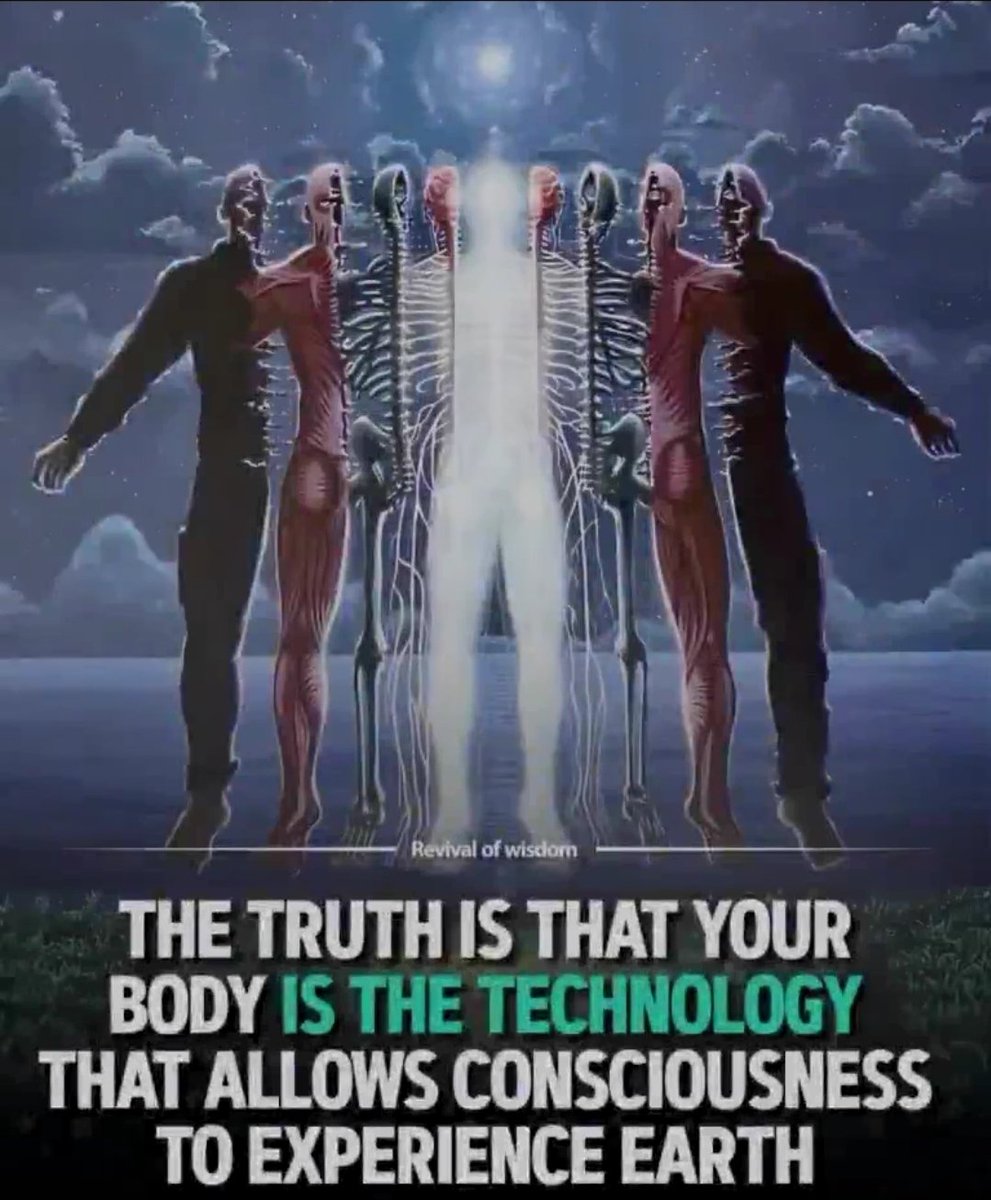 HiJacek's tweet photo. Dream up the biggest vision you can possibly imagine for your life and view it as already done. Run the movie of your ideal life multiple times mentally throughout the day. Hold onto this and let it play while reality around you unravels and reconfigures and time catches up 🧿❤️‍🔥 https://t.co/aTfECo8256
