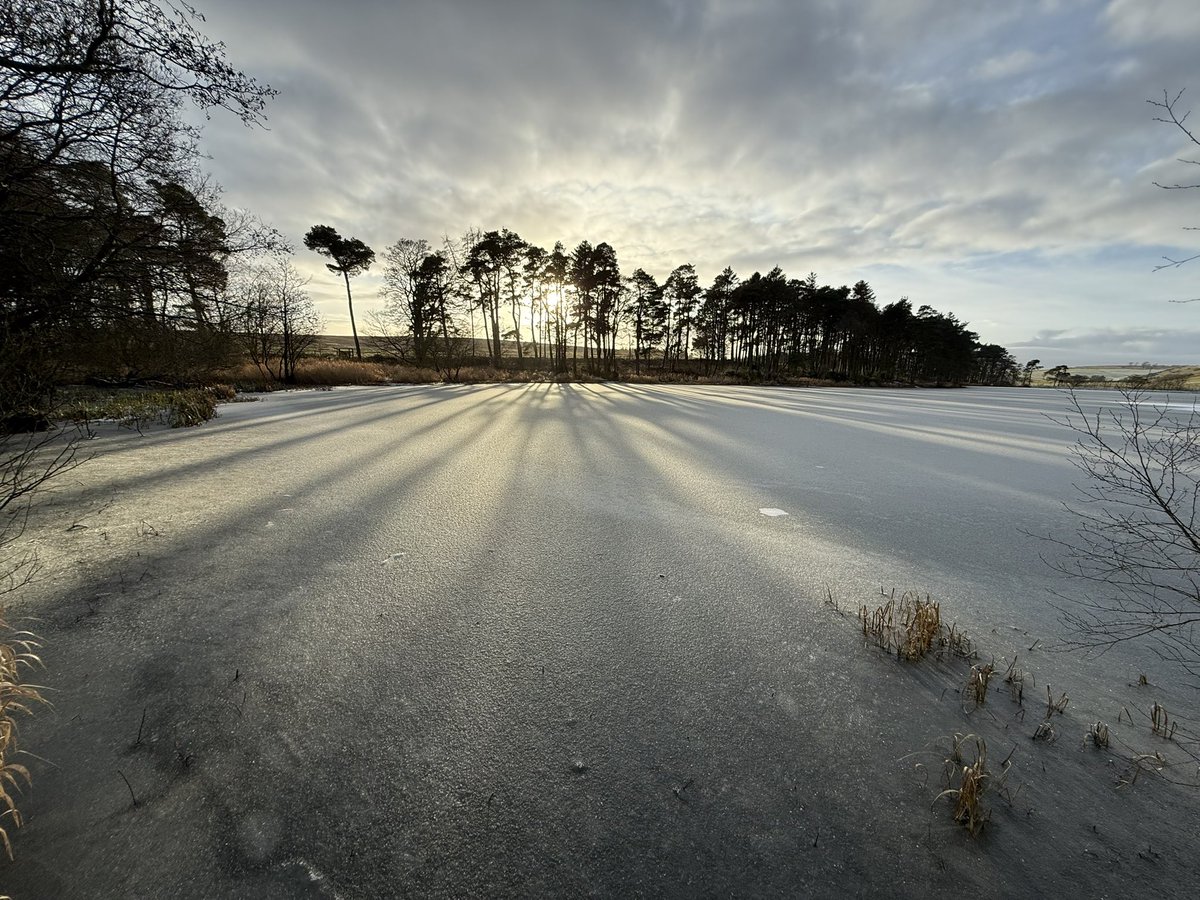 Lovethisland_'s tweet photo. Away from the islands but still beside water. This is Bowden Loch in the lee of the Eildon Hills.
“I travel the world and the seven seas…”
#ScottishBorders #Eildons #Scotland https://t.co/uvPzozJFg3