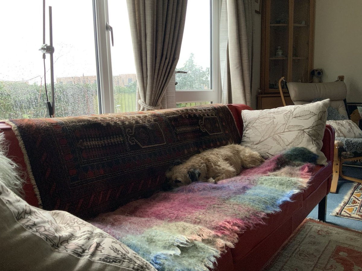 diamondbertie's tweet image. Current situation 
It’s still raining