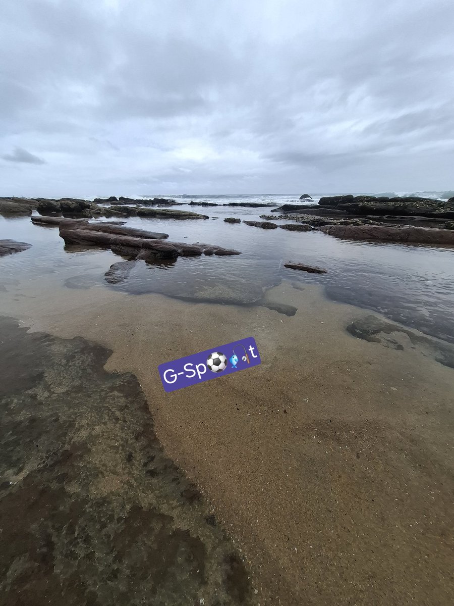 ERNEST PILLAY (@ernest_pillay) / Highlights / X