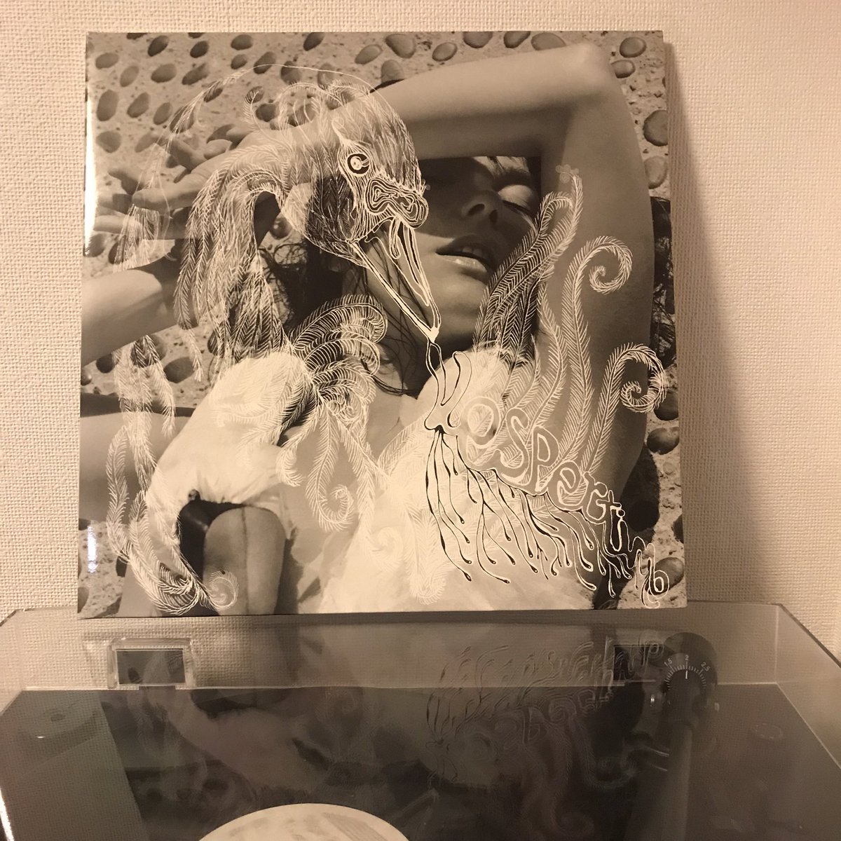 indf0905's tweet photo. 寒い日はビョークを聴きたくなります
「Vespertine」Björk https://t.co/bjCUsHWys5